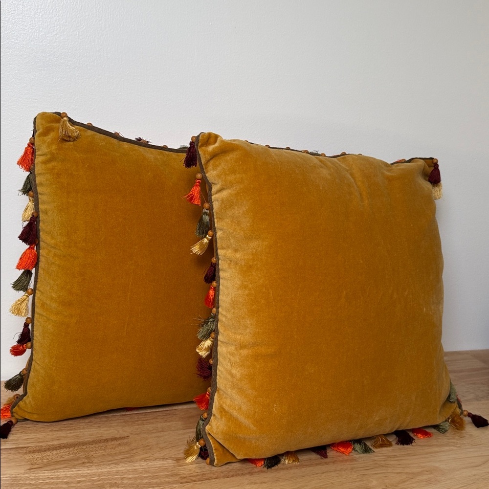 Set of Pier 1 Velvet boho pillow with tassels - Picture 2 of 13